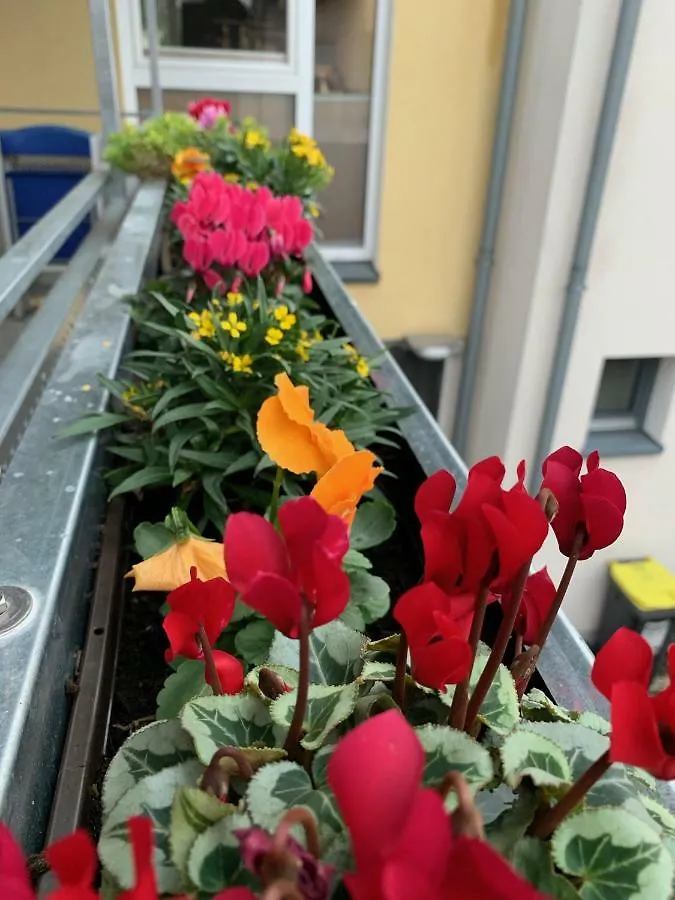 Apartment Koeln Ensen 0*, Köln Tyskland